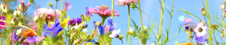 BDS Kleines Vilstal - Mitglieder - Foto © peppUP 